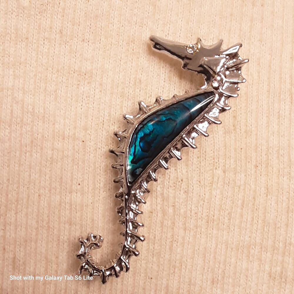 💎Seahorse Brooch Abalone Stone In Bezel Silver Tone Setting